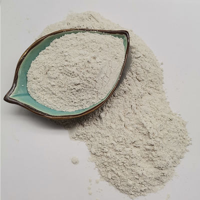 Calcium Bentonite Clay for Coating